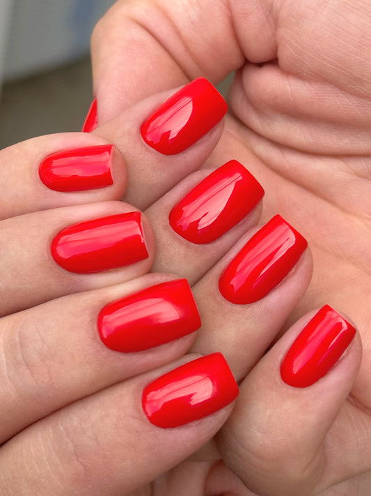 Beginner’s Accredited Builder Gel Course